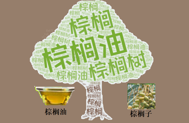 XM交易官网